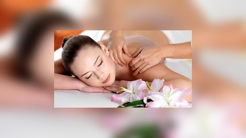 wellness wellness - wellness.jpg